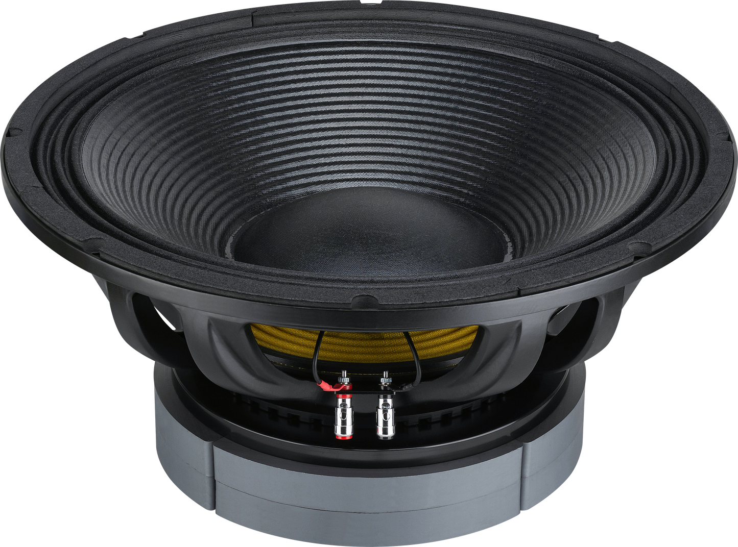 TA18-2M 18-Inch Subwoofer Speaker – 5500W Max Power | Dual Ferrite Magnet | 8 Ohm