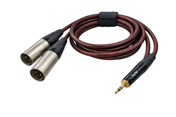 EP TO XLR MALE Y LEAD (AUX TO 2 XLR MALE )