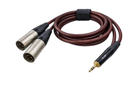 EP TO XLR MALE Y LEAD (AUX TO 2 XLR MALE )