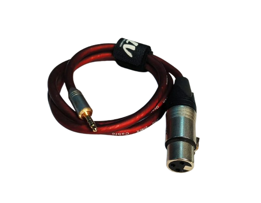 EP TO XLR FEMALE WIRE