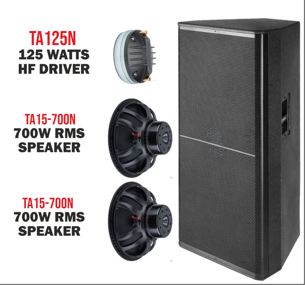 TA-N1500 Dual 15 Inch 2-Way Professional Speaker System